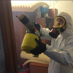 Уничтожение клопов в квартире. Некрасовский